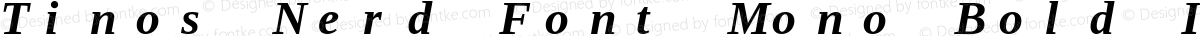 Tinos Nerd Font Mono Bold Italic
