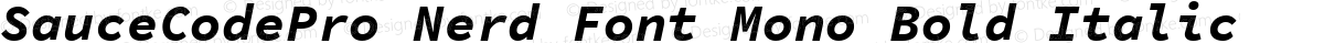 SauceCodePro Nerd Font Mono Bold Italic