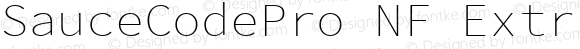 Sauce Code Pro ExtraLight Nerd Font Complete Windows Compatible