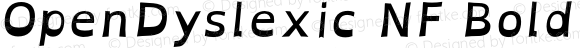 OpenDyslexic Bold Italic Nerd Font Complete Windows Compatible
