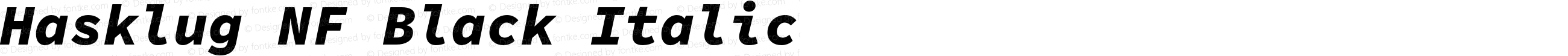 Hasklug Black Italic Nerd Font Complete Mono Windows Compatible