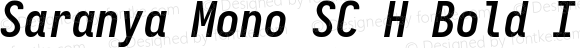 Saranya Mono SC H Bold Italic