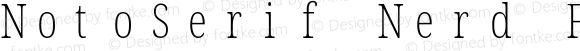 Noto Serif ExtraCondensed ExtraLight Nerd Font Complete Mono