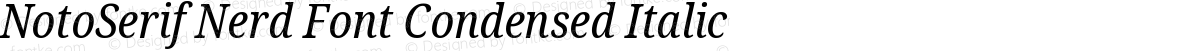 NotoSerif Nerd Font Condensed Italic