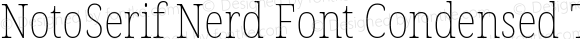 NotoSerif Nerd Font Condensed Thin