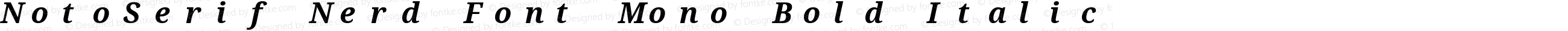 NotoSerif Nerd Font Mono Bold Italic