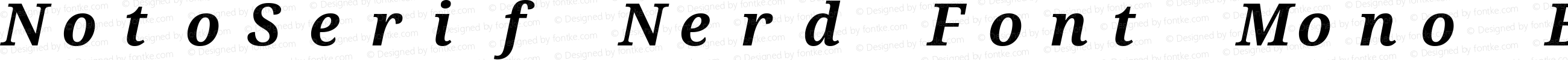 NotoSerif Nerd Font Mono Bold Italic