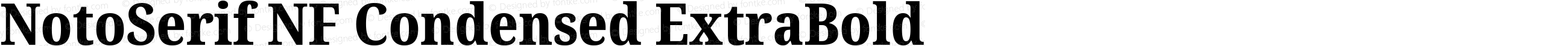 NotoSerif NF Condensed ExtraBold