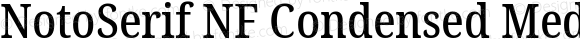 Noto Serif Condensed Medium Nerd Font Complete Windows Compatible