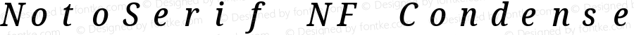 Noto Serif Condensed Medium Italic Nerd Font Complete Mono Windows Compatible