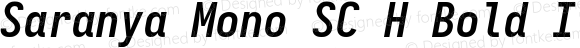 Saranya Mono SC H Bold Italic