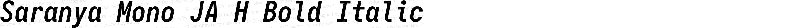 Saranya Mono JA H Bold Italic