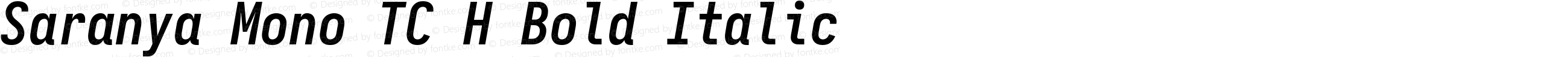 Saranya Mono TC H Bold Italic