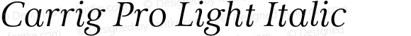 Carrig Pro Light Italic