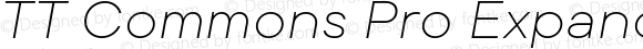 TT Commons Pro Expanded ExtraLight Italic