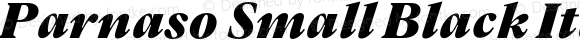 Parnaso Small Black Italic