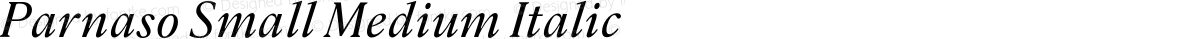 Parnaso Small Medium Italic