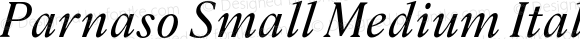 Parnaso Small Medium Italic