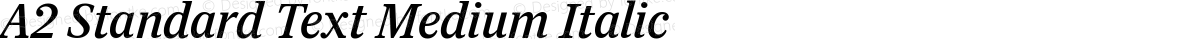 A2 Standard Text Medium Italic