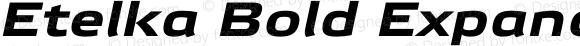 Etelka Bold Expanded Italic