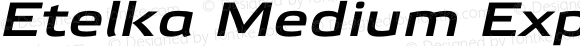 Etelka Medium Expanded Italic