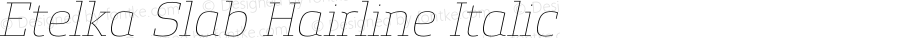 Etelka Slab Hairline Italic