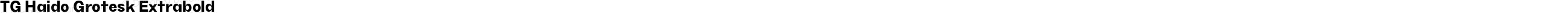 TG Haido Grotesk Extrabold