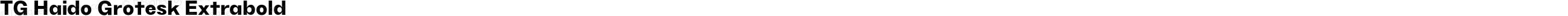 TG Haido Grotesk Extrabold