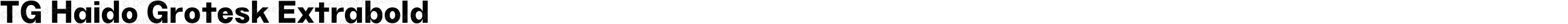 TG Haido Grotesk Extrabold