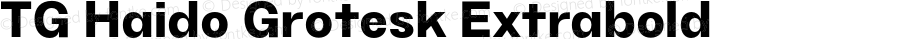 TG Haido Grotesk Extrabold