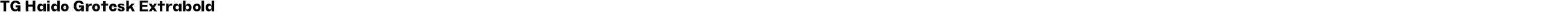 TG Haido Grotesk Extrabold