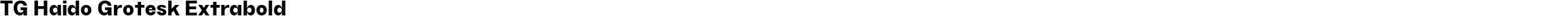 TG Haido Grotesk Extrabold