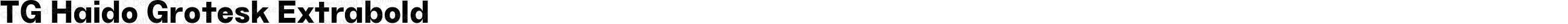 TG Haido Grotesk Extrabold