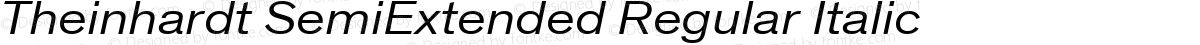 Theinhardt SemiExtended Regular Italic