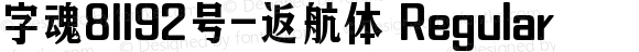 字魂81192号-返航体