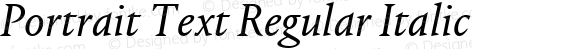 Portrait Text Regular Italic