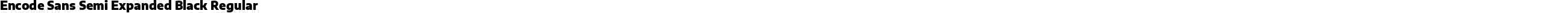 Encode Sans Semi Expanded Black Regular