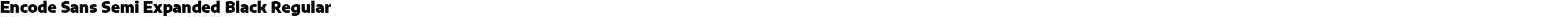Encode Sans Semi Expanded Black Regular