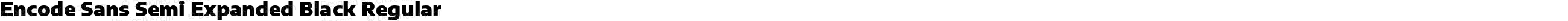 Encode Sans Semi Expanded Black Regular