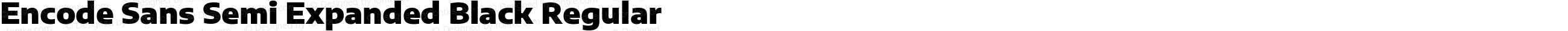 Encode Sans Semi Expanded Black Regular