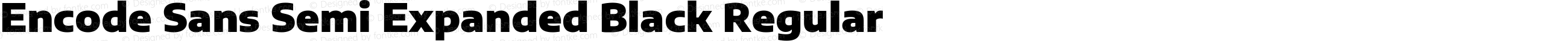 Encode Sans Semi Expanded Black Regular