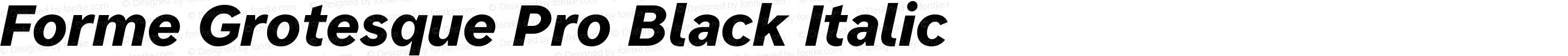 Forme Grotesque Pro Black Italic