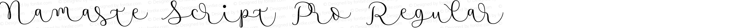 Namaste Script Pro Regular