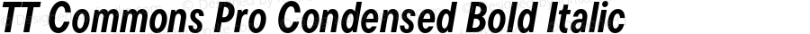 TT Commons Pro Condensed Bold Italic