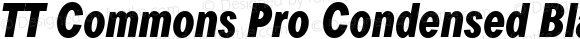 TT Commons Pro Condensed Black Italic