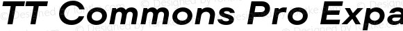 TT Commons Pro Expanded Bold Italic