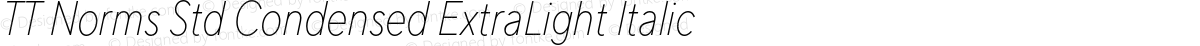 TT Norms Std Condensed ExtraLight Italic