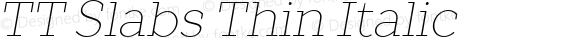 TT Slabs Thin Italic