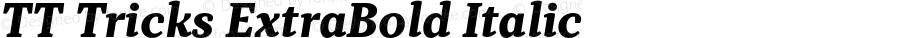 TT Tricks ExtraBold Italic