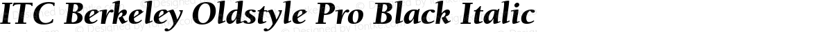 ITC Berkeley Oldstyle Pro Black Italic